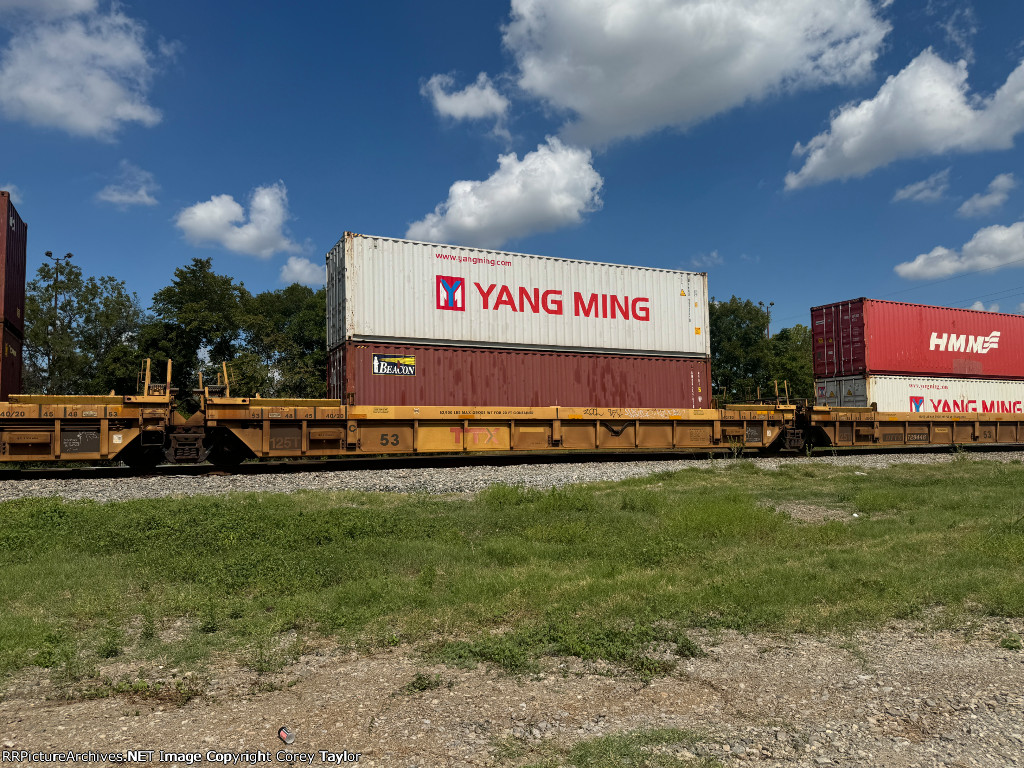 DTTX 729446